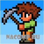 ������� Terraria �� ���������
